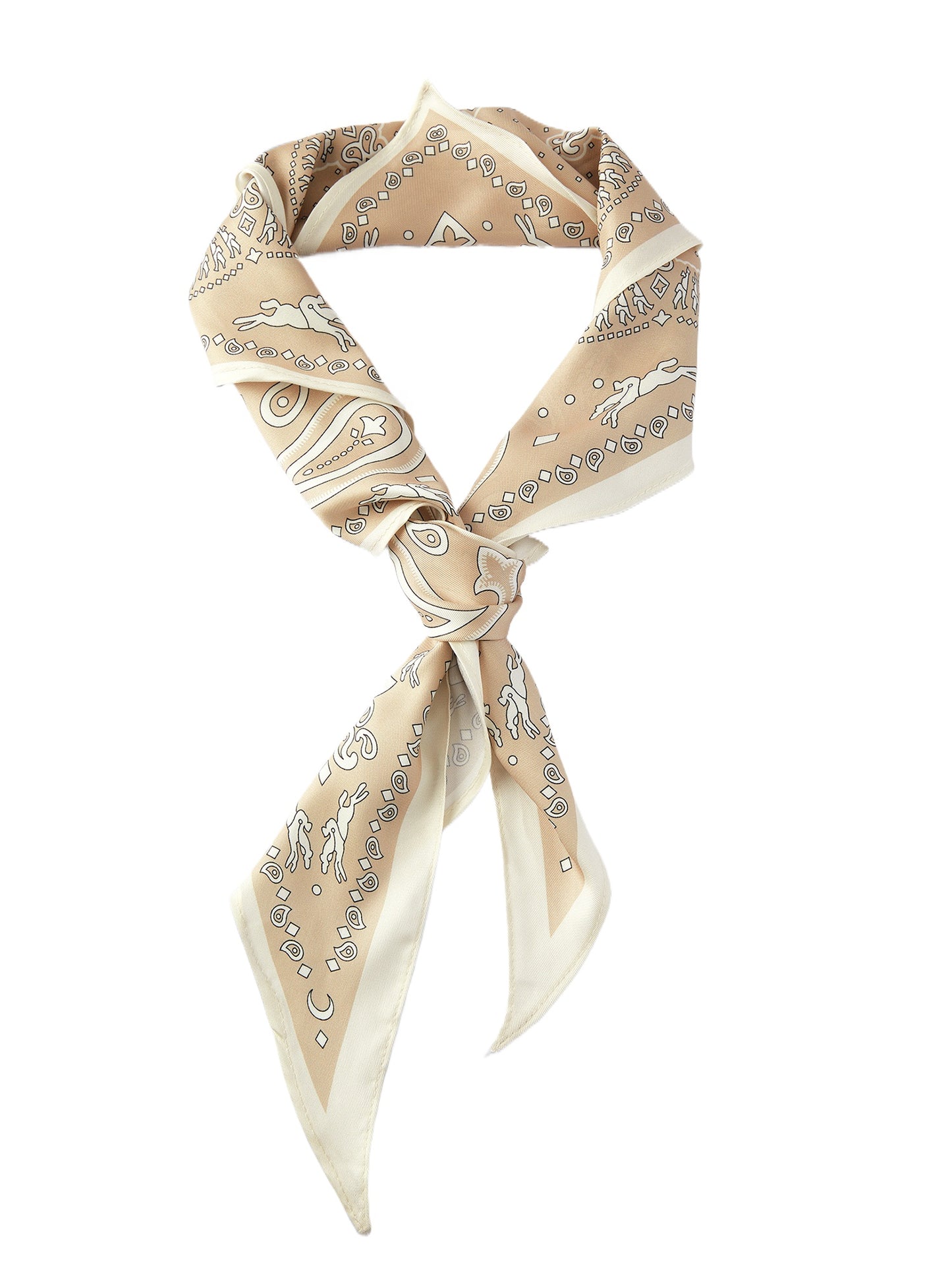 Paisley Triangle Neck Scarf