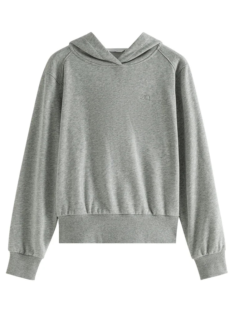 Gray Cropped Pullover Hoodie